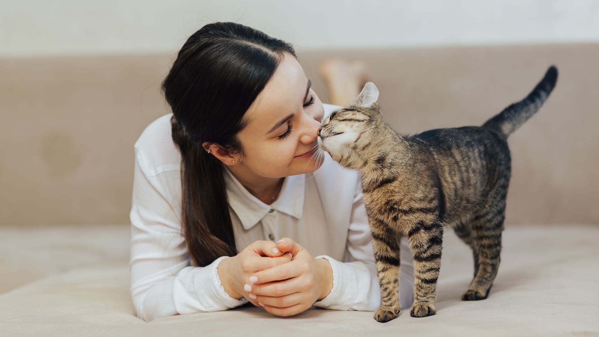 स्किझोफ्रेनियाच्या वाढीव जोखमीशी मांजरीच्या मालकीचा अभ्यास जोडतो, पुढील संशोधनाची गरज आहे